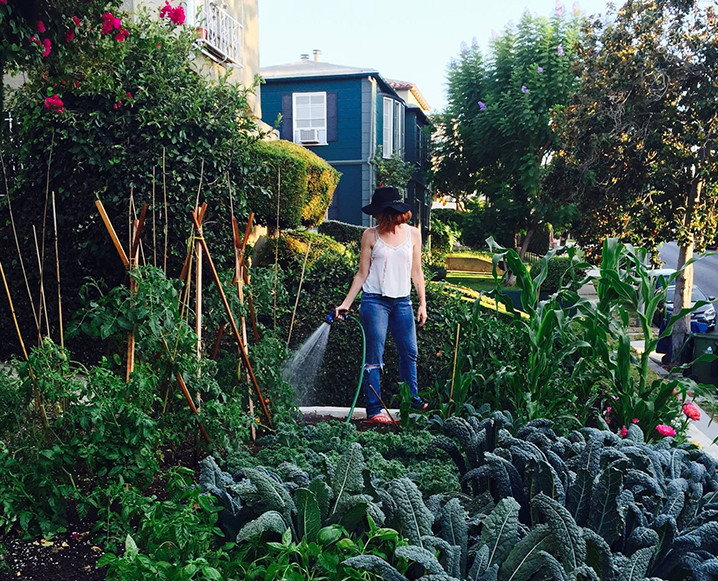 edible-garden-718x581c