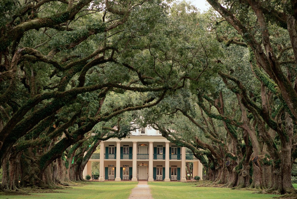 Oak-Alley-Planttion_GettyImages-586019858
